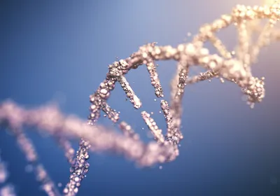 Depiction of human DNA helix. Depiction of human DNA helix. 